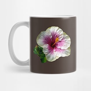 Hibiscus - Hibiscus Candy Striper Mug